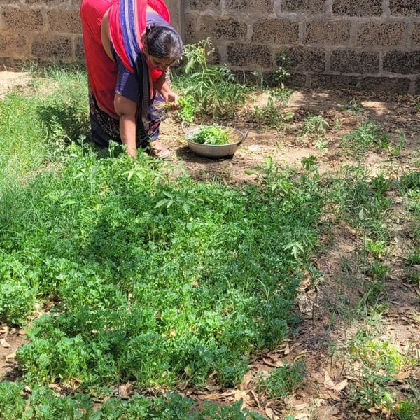 News from Hope School, India